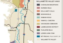 Oregon’s Willamette Valley Wine Industry Aims To Become A Year-Round Agro-Tourism Attraction